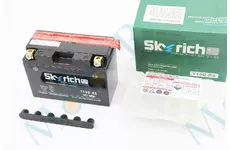 Аккумулятор 12V8Ah YT9B-BS кислотный L150*W70*H105mm    Skyrich