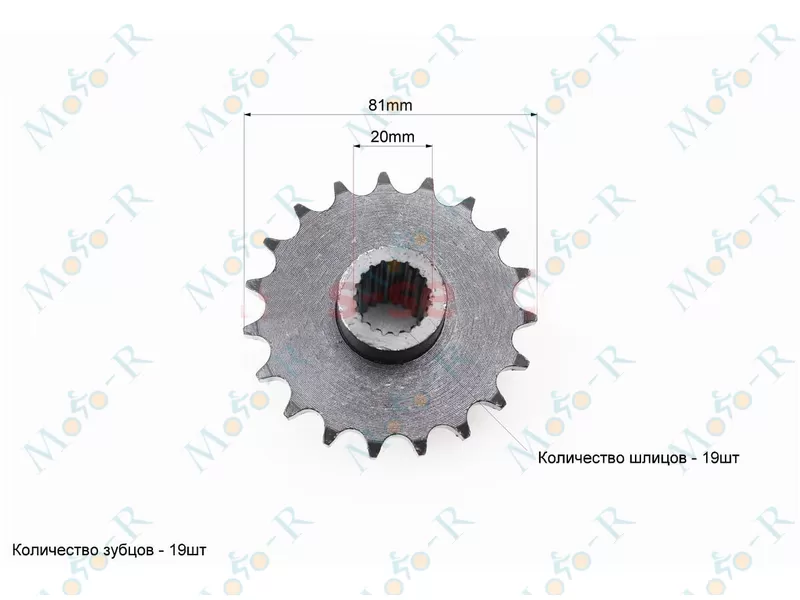 Фото 2 - Звезда приводная  шлицевая 428-19T (втулка d=20mm, L=48mm)