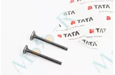 Клапана GY6 50-100 сс впускний, випускний к-кт 64мм TATA