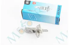 Лампа фари галоген H1 12V55W