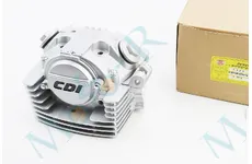 Головка циліндра 169FMM CB250 D69