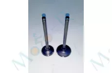 Клапана (впуск + випуск) IRBIS XR250R (Shineray XY250GY-6B) MUS