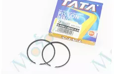 Кільця поршневі Suzuki AD50 41мм +0,25