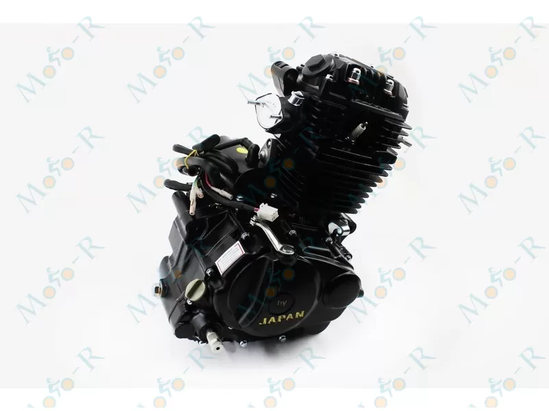 Фото 3 - Двигатель мотоциклетный в сборе CB-250cc 169FMM-ZC