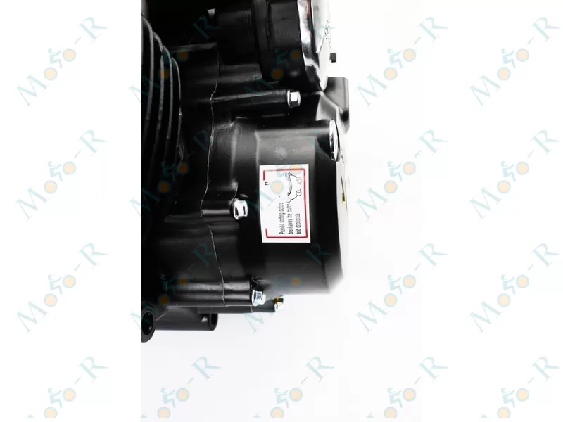 Фото 5 - Двигатель мотоциклетный в сборе CB-250cc 169FMM-ZC