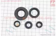 Сальник двигуна к-кт 5шт YBR125